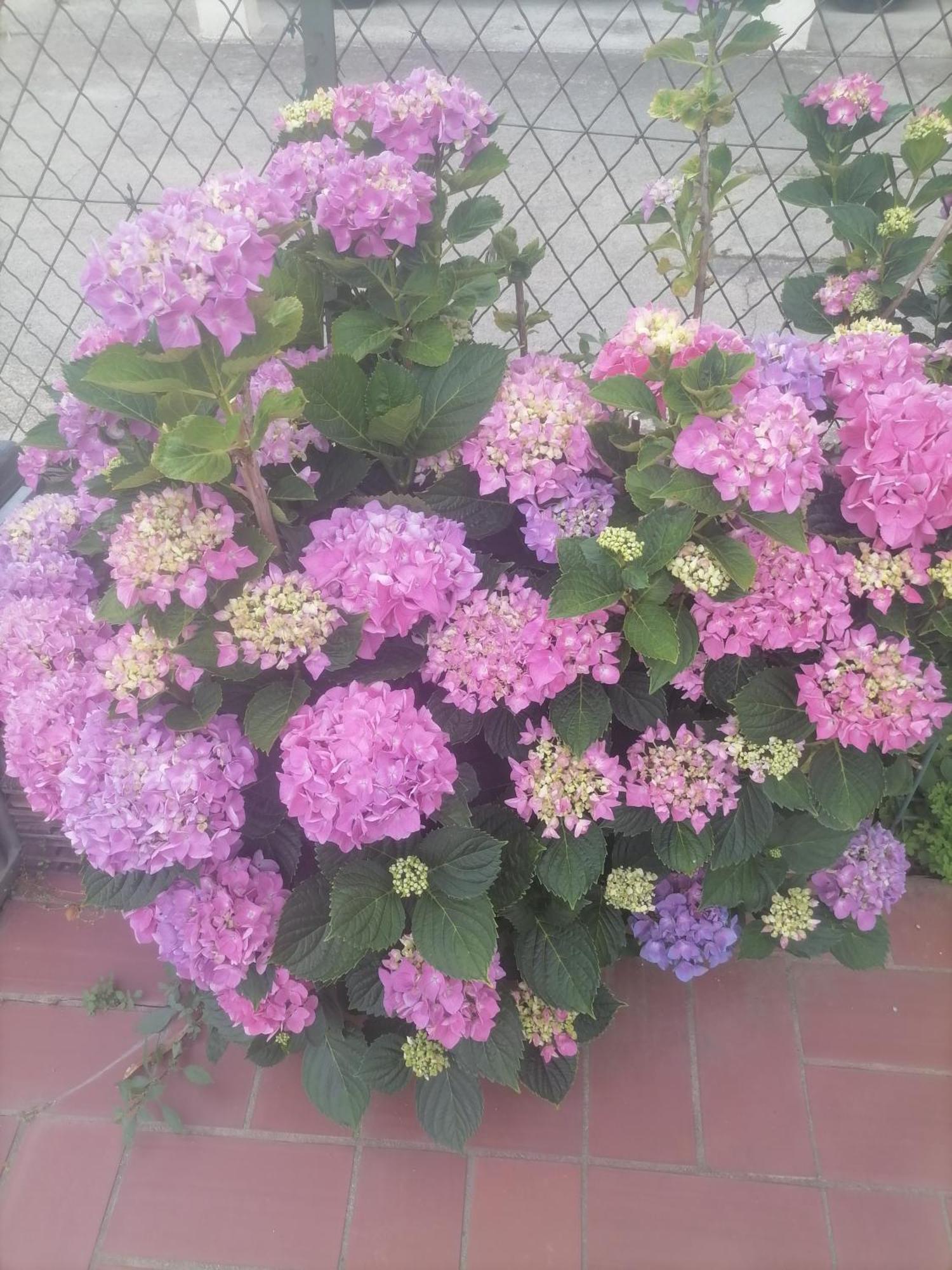 פראד Maison Du Soleil מראה חיצוני תמונה