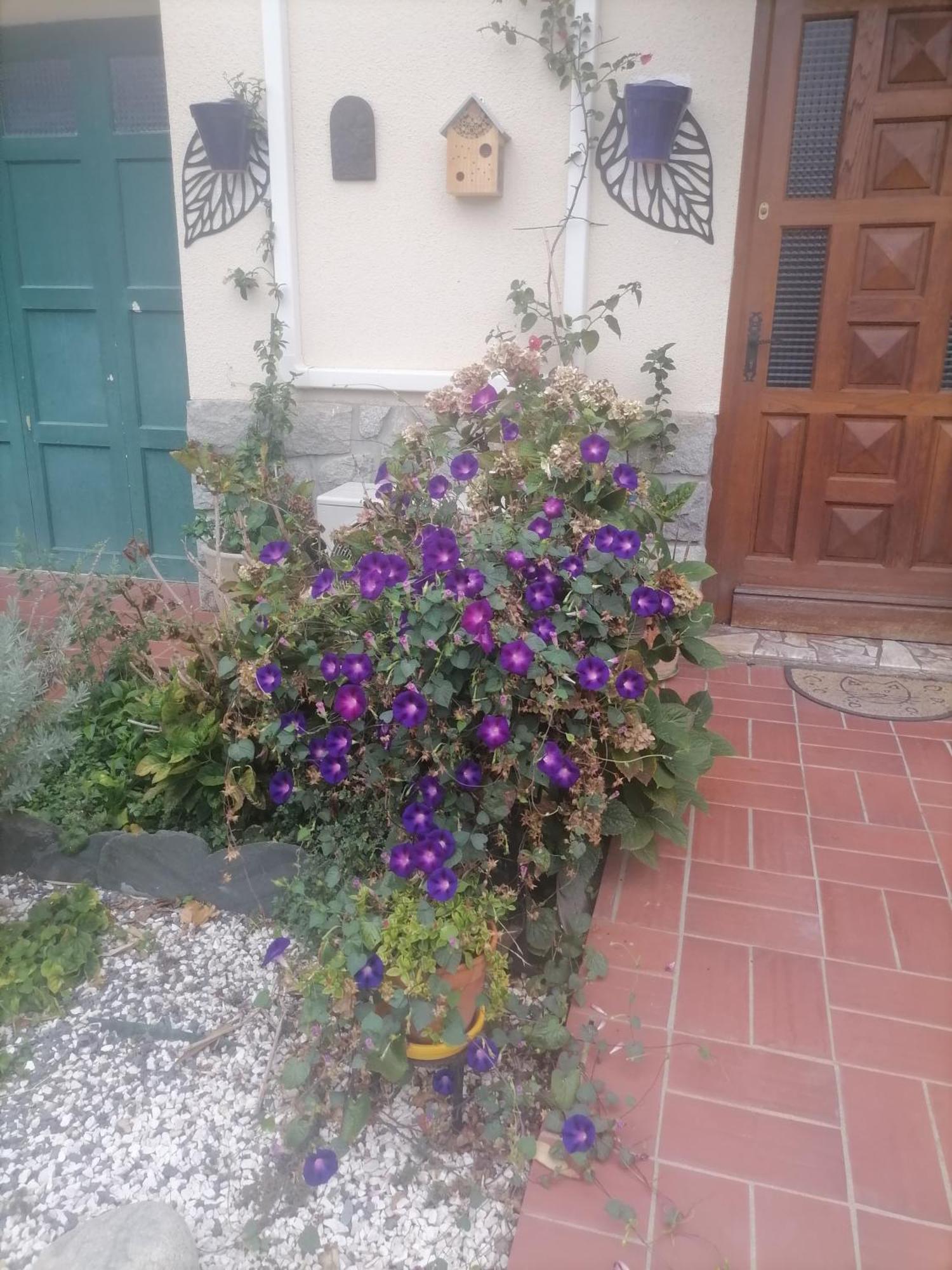 פראד Maison Du Soleil מראה חיצוני תמונה